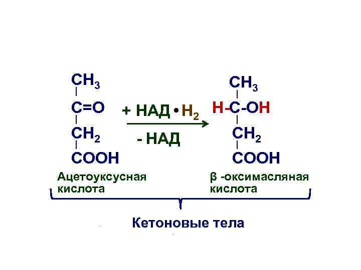 CH 3 C=O CH 2 CH 3 + НАД ● H 2 Н-C-ОН CH