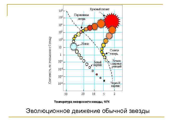 Эволюционное движение обычной звезды 