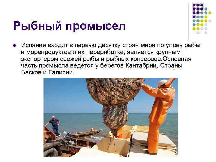 Рыбный промысел l Испания входит в первую десятку стран мира по улову рыбы и