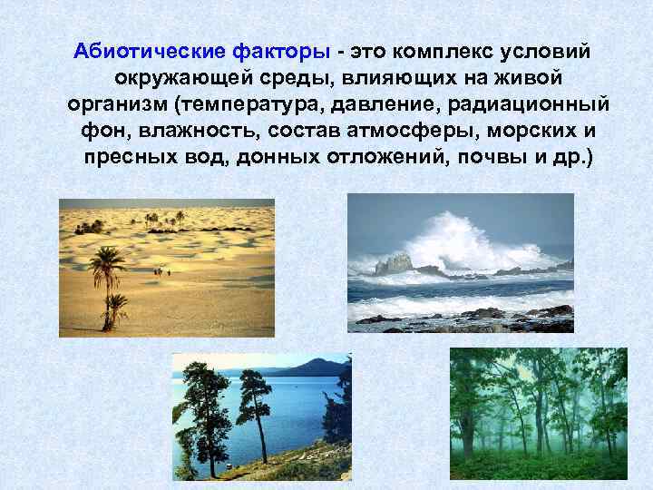 Абиотические факторы - это комплекс условий окружающей среды, влияющих на живой организм (температура, давление,