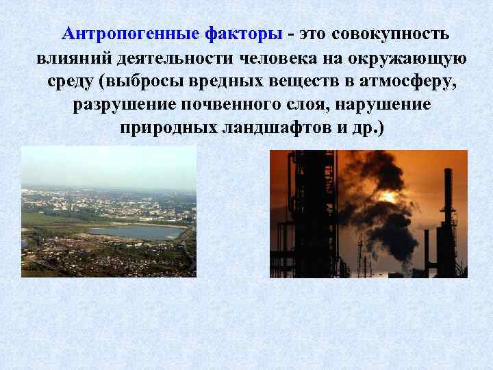 Антропогенные факторы - это совокупность влияний деятельности человека на окружающую среду (выбросы вредных веществ