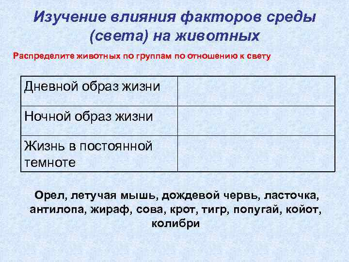 Отношение к свету. Распределите животных по группам по отношению к свету дневной образ. Распредели факторы среды по группам. Распределите животных на ночных и дневных. Распределение животных по группам по отношению к свету койот попугай.