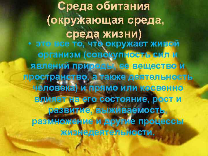Среда обитания (окружающая среда, среда жизни) • это все то, что окружает живой организм