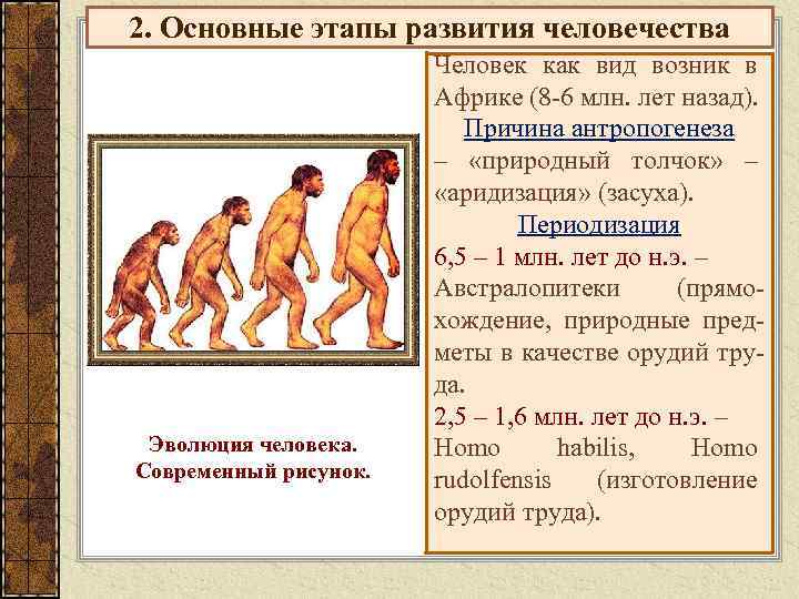 2. Основные этапы развития человечества Человек как вид возник в Африке (8 -6 млн.