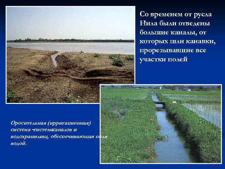 Со временем от русла Нила были отведены большие каналы, от которых шли канавки, прорезывавшие