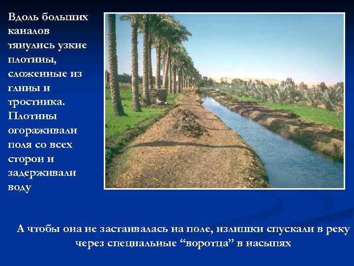 Вдоль больших каналов тянулись узкие плотины, сложенные из глины и тростника. Плотины огораживали поля