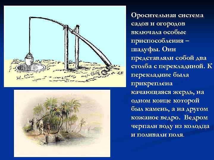 Оросительная система садов и огородов включала особые приспособления – шадуфы. Они представляли собой два