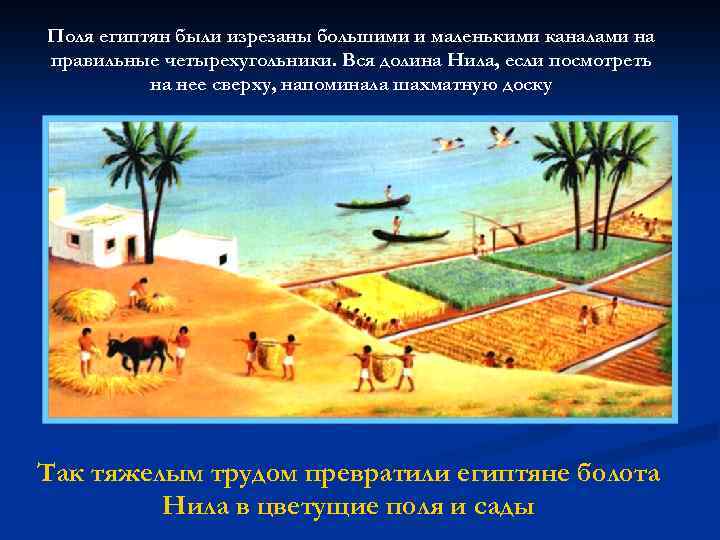 Поля египтян были изрезаны большими и маленькими каналами на правильные четырехугольники. Вся долина Нила,