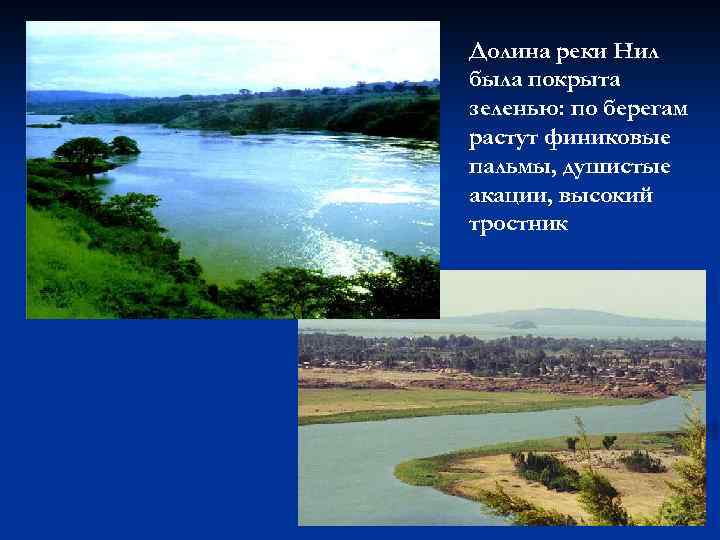 Долина реки Нил была покрыта зеленью: по берегам растут финиковые пальмы, душистые акации, высокий