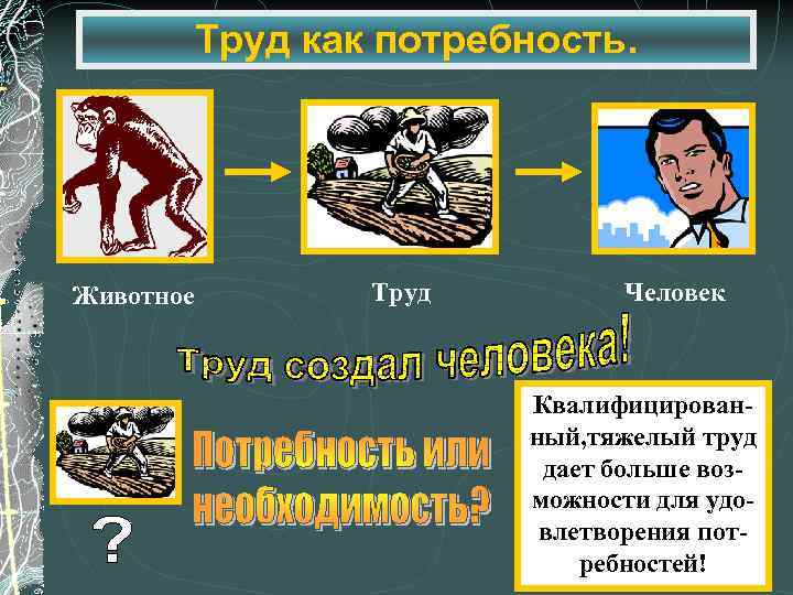 Труд как потребность. Животное Труд Человек Квалифицированный, тяжелый труд дает больше возможности для удовлетворения