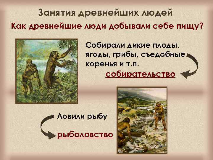 Занятия древнейших людей Как древнейшие люди добывали себе пищу? Собирали дикие плоды, ягоды, грибы,