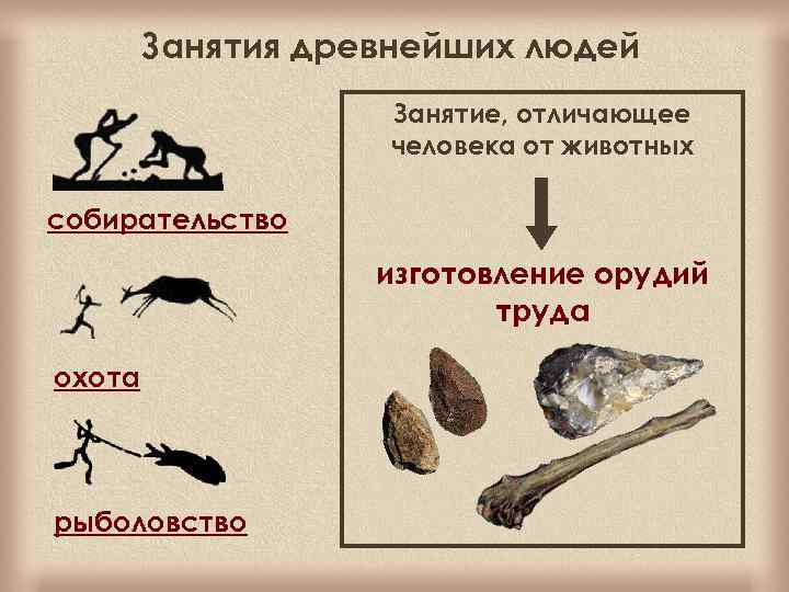 Занятия древнейших людей Занятие, отличающее человека от животных собирательство изготовление орудий труда охота рыболовство