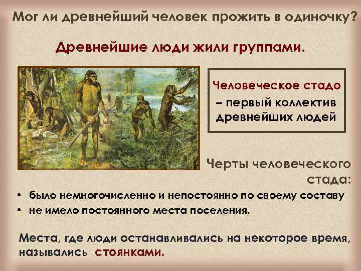 Мог ли древнейший человек прожить в одиночку? Древнейшие люди жили группами. Человеческое стадо –