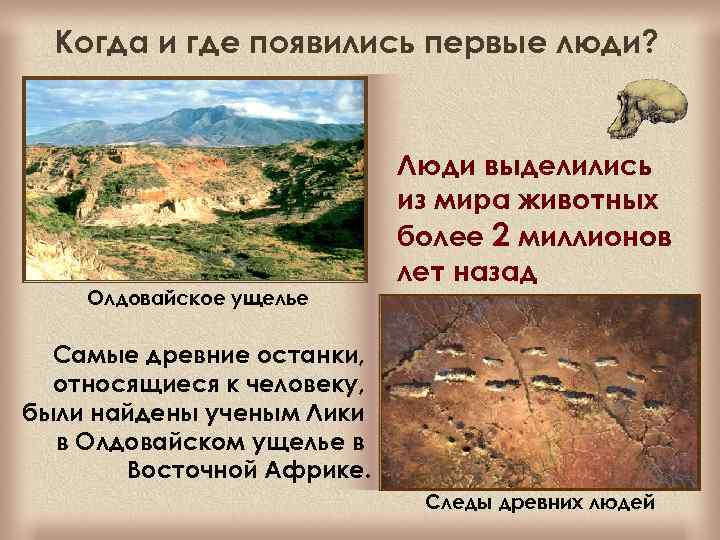 Когда и где появились первые люди? Олдовайское ущелье Люди выделились из мира животных более