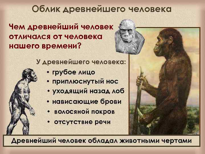 Облик древнейшего человека Чем древнейший человек отличался от человека нашего времени? У древнейшего человека: