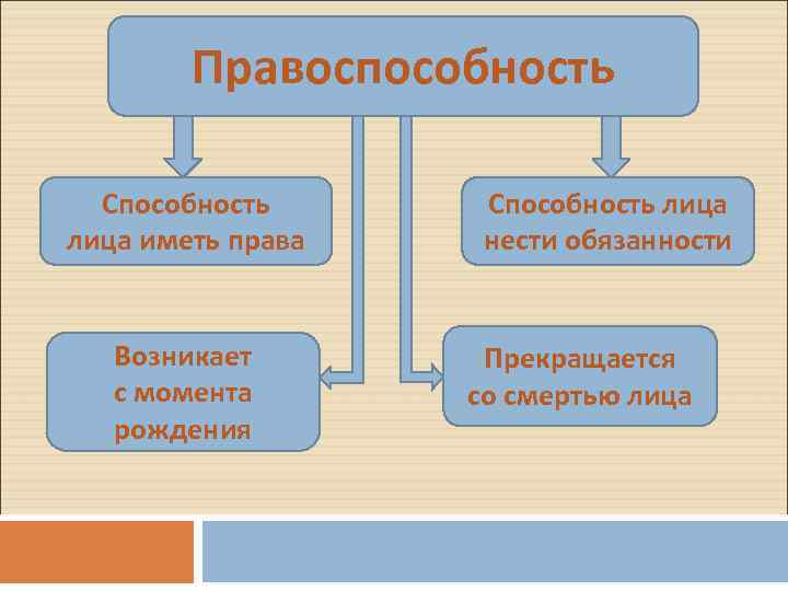 Правоспособность Способность лица иметь права Возникает с момента рождения Способность лица нести обязанности Прекращается