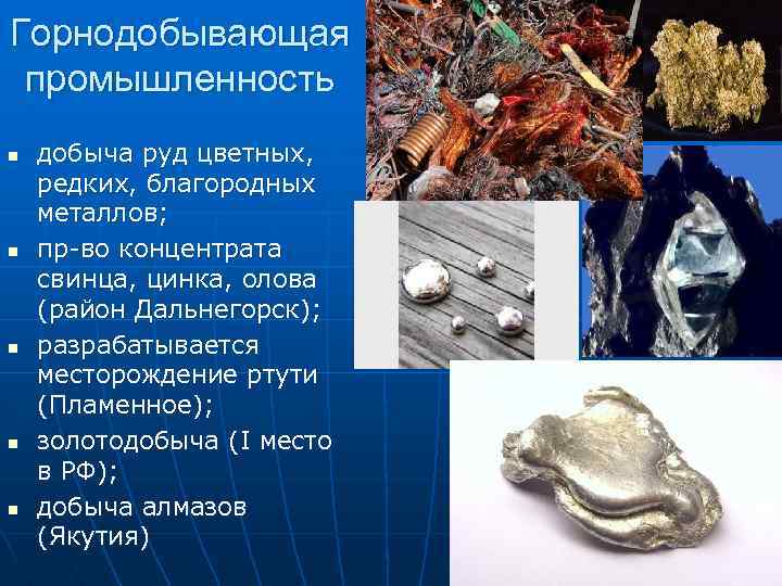 Горнодобывающая промышленность n n n добыча руд цветных, редких, благородных металлов; пр-во концентрата свинца,