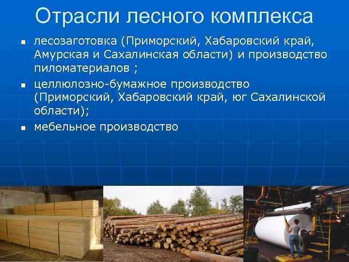 Лесная промышленность приморского края презентация