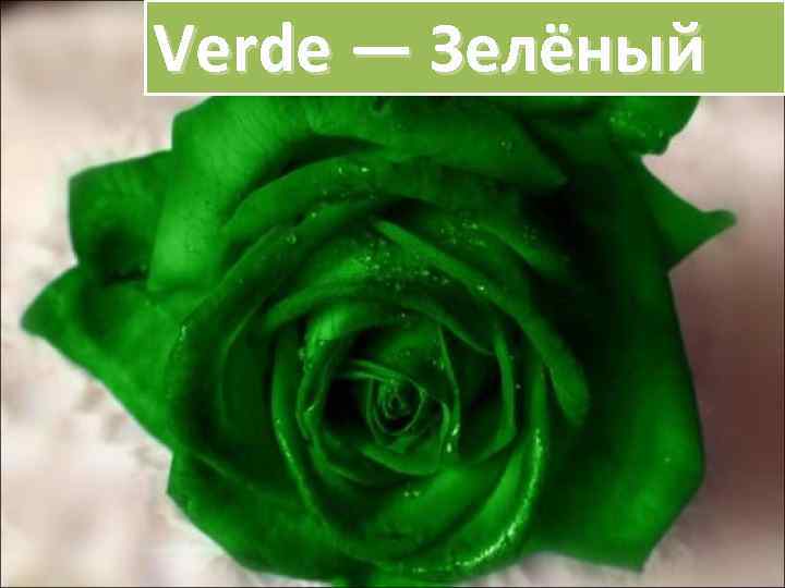 Verde — Зелёный 