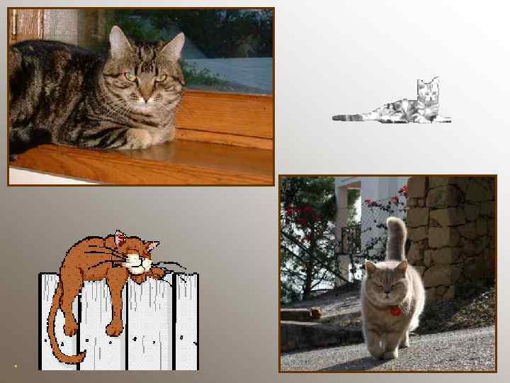   Летит орлица  По синему небу. Крылья распластала, Солнышко застлала. 