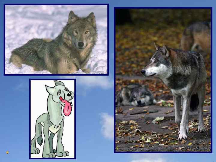   Острые ушки, На лапках подушки,  Усы как щетинка, Дугою спинка. 