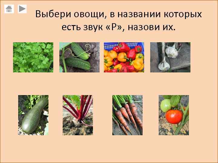 Выбери овощи, в названии которых есть звук «Р» , назови их. 
