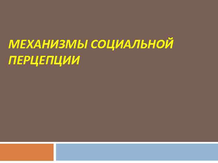 МЕХАНИЗМЫ СОЦИАЛЬНОЙ ПЕРЦЕПЦИИ 
