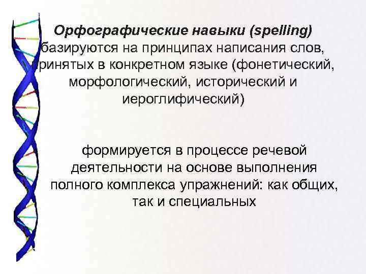 Орфографические навыки (spelling) базируются на принципах написания слов, принятых в конкретном языке (фонетический, морфологический,