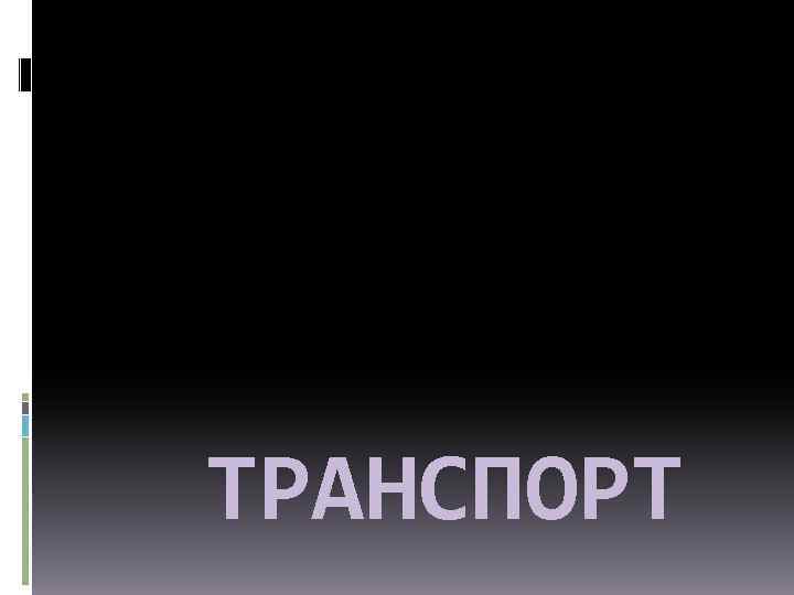 ТРАНСПОРТ 