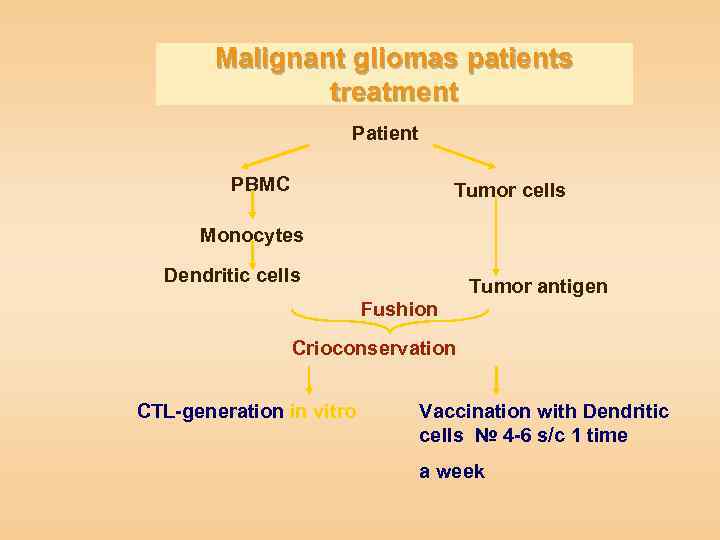 Malignant gliomas patients treatment Patient PBMC Tumor cells Моnocytes Dendritic cells Tumor antigen Fushion