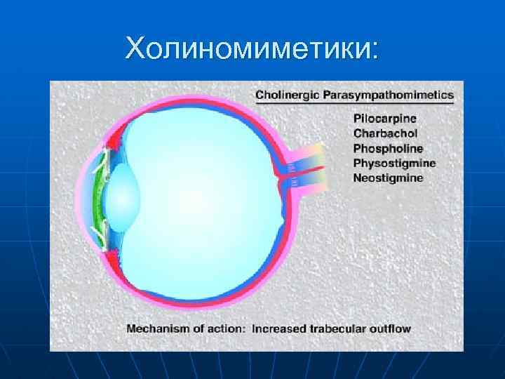 Холиномиметики: 