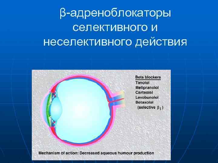 β-адреноблокаторы селективного и неселективного действия 