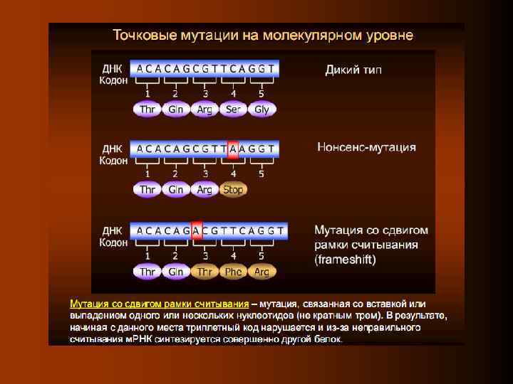 Триплетами днк являются