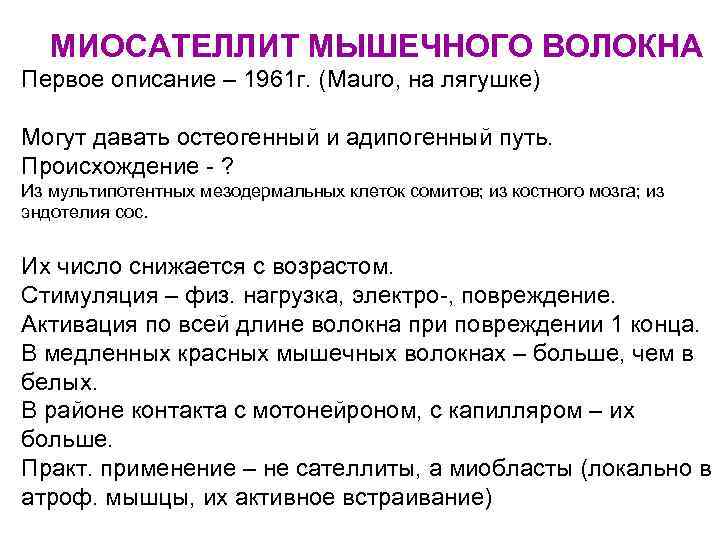 МИОСАТЕЛЛИТ МЫШЕЧНОГО ВОЛОКНА Первое описание – 1961 г. (Mauro, на лягушке) Могут давать остеогенный