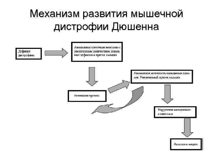 Мышечная дистрофия дюшенна фото