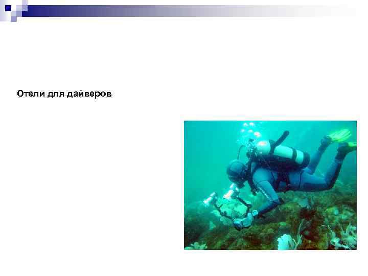 Отели для дайверов 