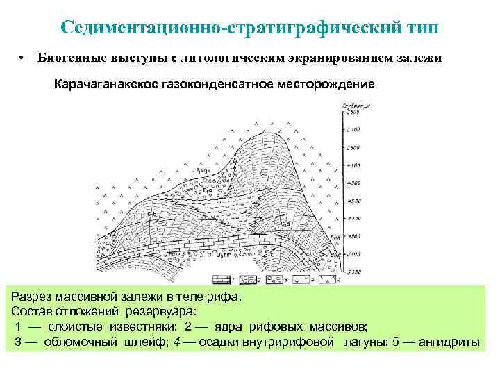 Седиментационно-стратиграфический тип • Биогенные выступы с литологическим экранированием залежи Карачаганакскос газоконденсатное месторождение Разрез массивной