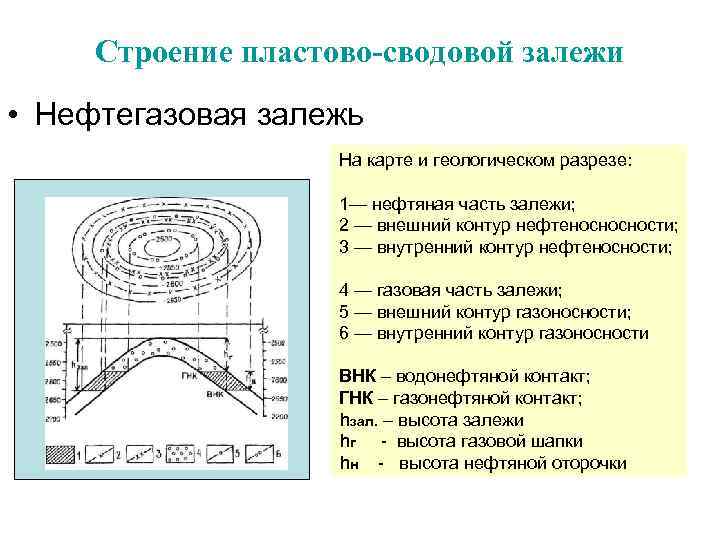 Строение пластово-сводовой залежи • Нефтегазовая залежь На карте и геологическом разрезе: 1— нефтяная часть