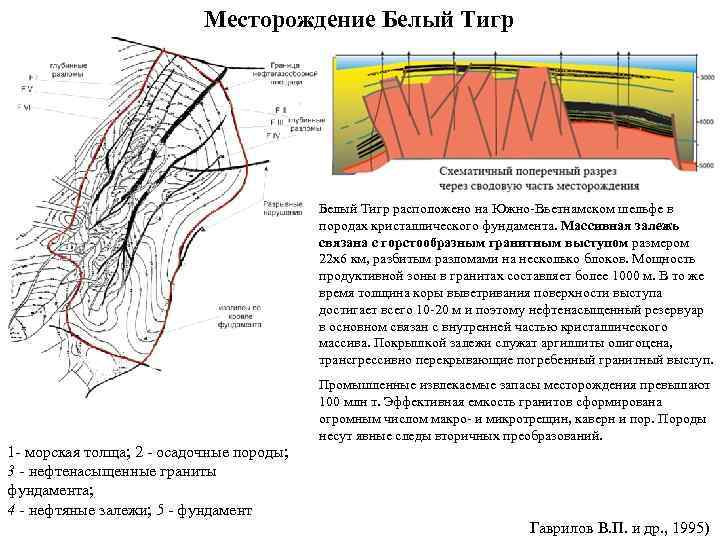 Месторождение Белый Тигр расположено на Южно-Вьетнамском шельфе в породах кристаллического фундамента. Массивная залежь связана