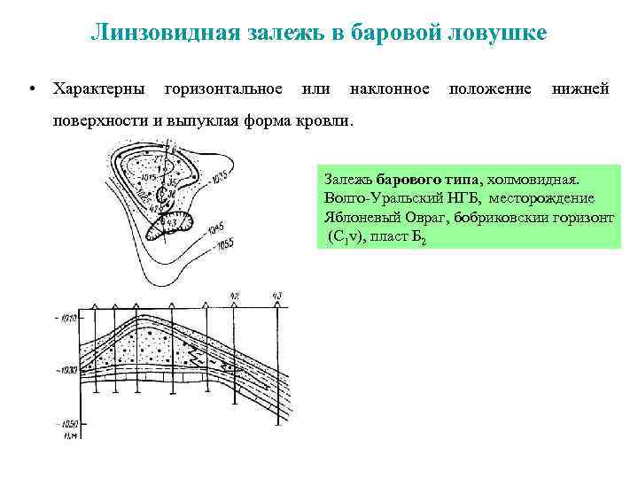 Линзовидная залежь в баровой ловушке • Характерны горизонтальное или наклонное положение нижней поверхности и