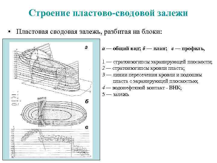Строение пластово-сводовой залежи • Пластовая сводовая залежь, разбитая на блоки: а а а —