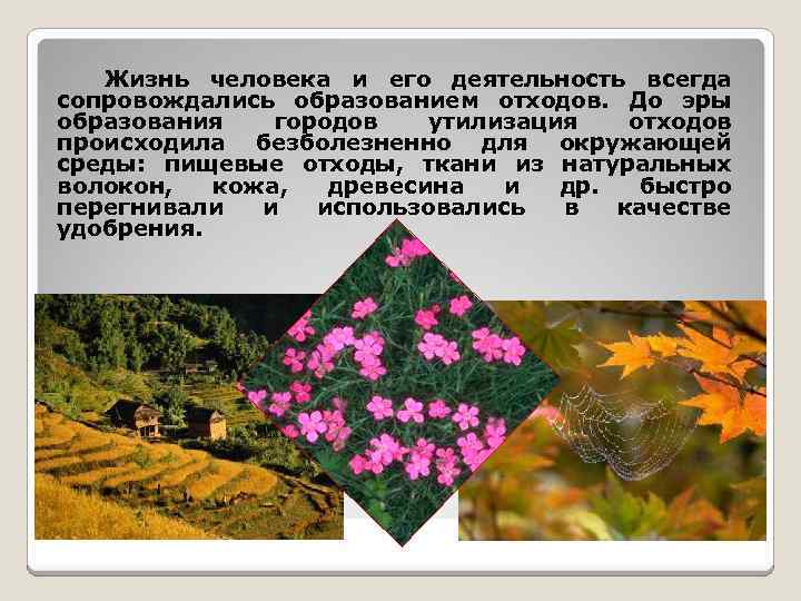 Жизнь человека и его деятельность всегда сопровождались образованием отходов. До эры образования городов утилизация