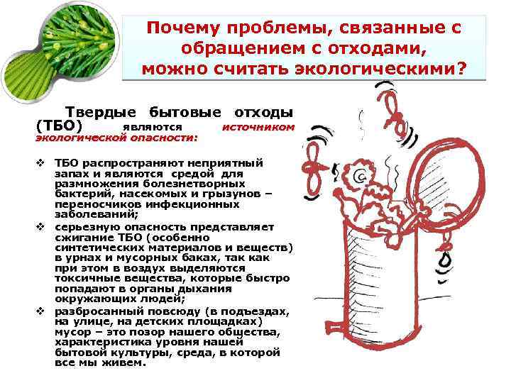 Почему проблемы, связанные с обращением с отходами, можно считать экологическими? Твердые бытовые отходы (ТБО)