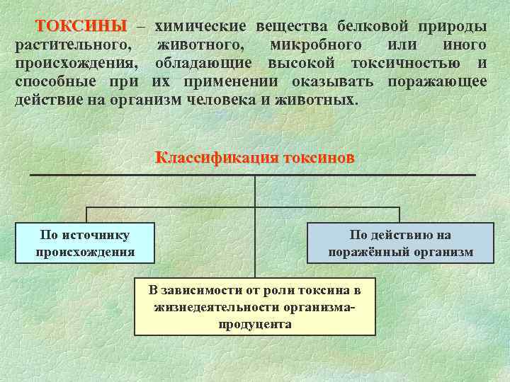 Токсины это. Классификация токенов. Виды токсинов. Токсины - химические вещества белковой природы. Токсины подразделяются на.