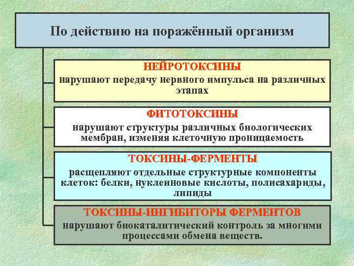 По действию на поражённый организм НЕЙРОТОКСИНЫ нарушают передачу нервного импульса на различных этапах ФИТОТОКСИНЫ