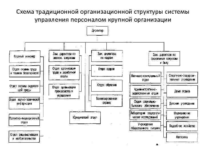 Общая организационная структура и схема управления комплексной сто