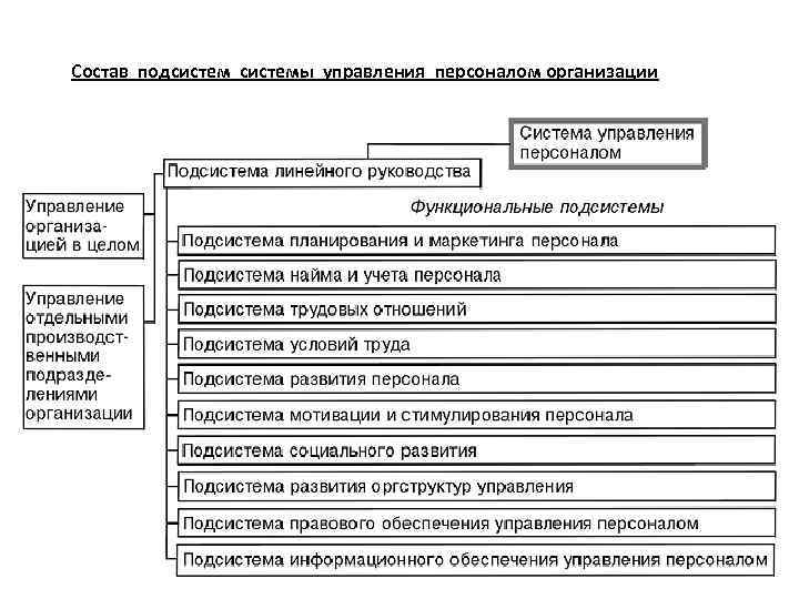 Состав подсистемы управления персоналом организации 
