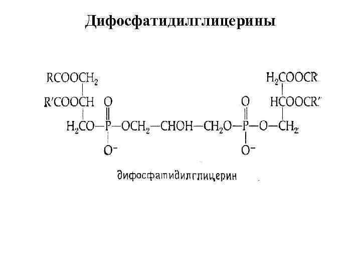 Дифосфатидилглицерины 