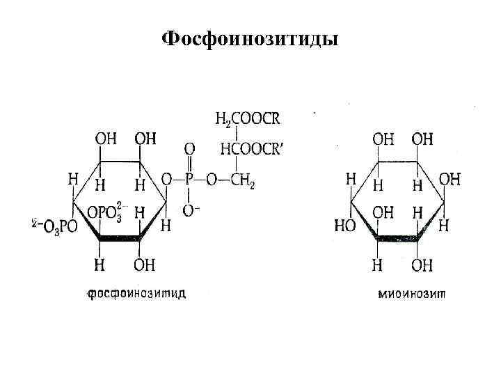 Фосфоинозитиды 