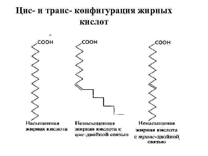 Конфигурация связи. Цис и транс конфигурация жирных кислот. Цис конфигурация липидов. Жирные кислоты и их пространственная конфигурация.. Цис конформация жирных кислот.